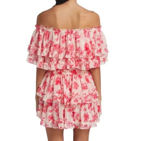 MISA LOS ANGELES Isella Floral Ruffle Georgette Mini Dress Pink White Size S NWT - Picture 2 of 16